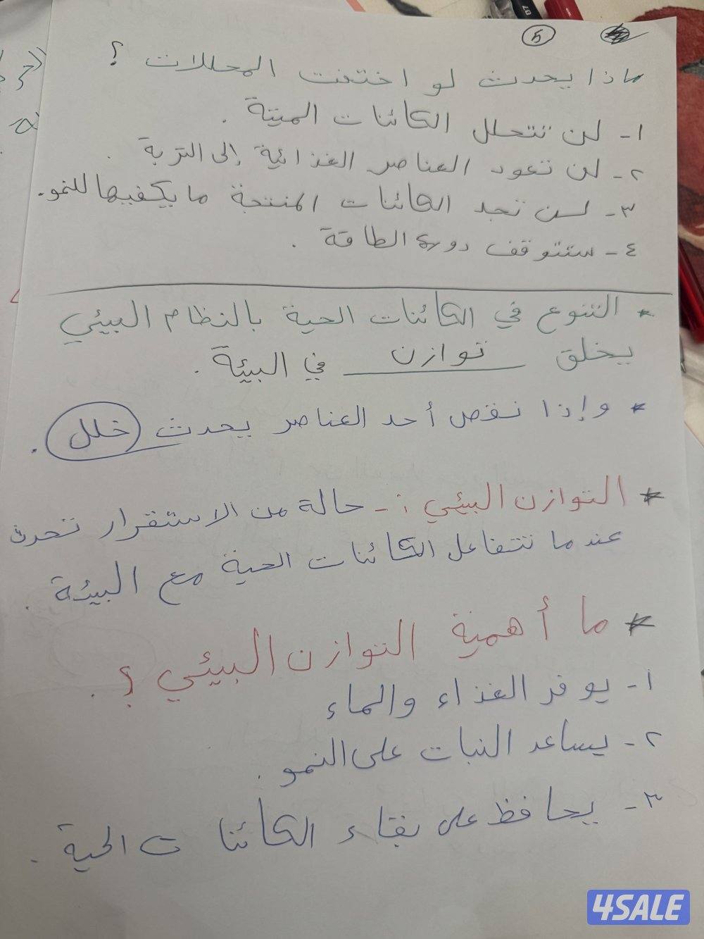 مدرسة لغة عربية1