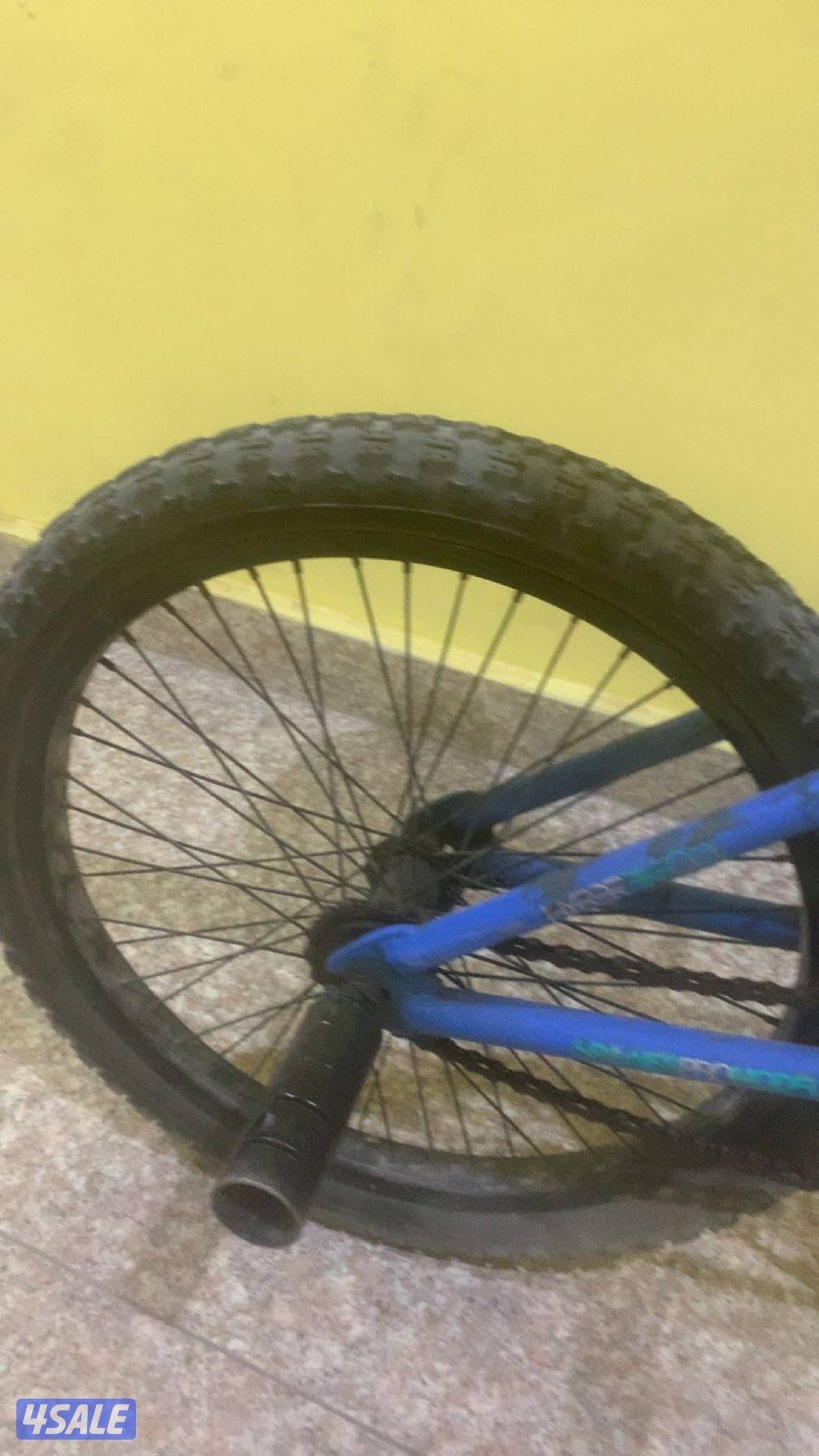 قاري دي كي نظيف  فيه ملاحظة بسيطة5