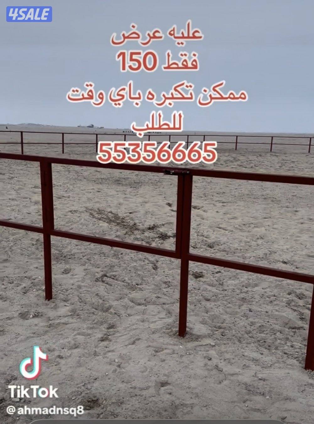 بادوك خيل احترافي مقاس 12/120