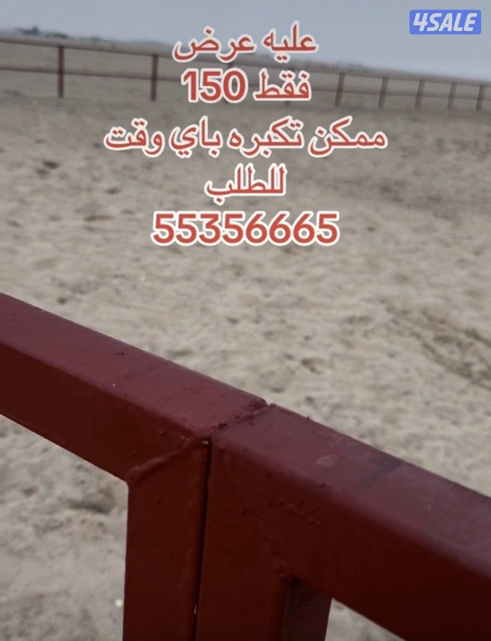 بادوك خيل احترافي مقاس 12/121