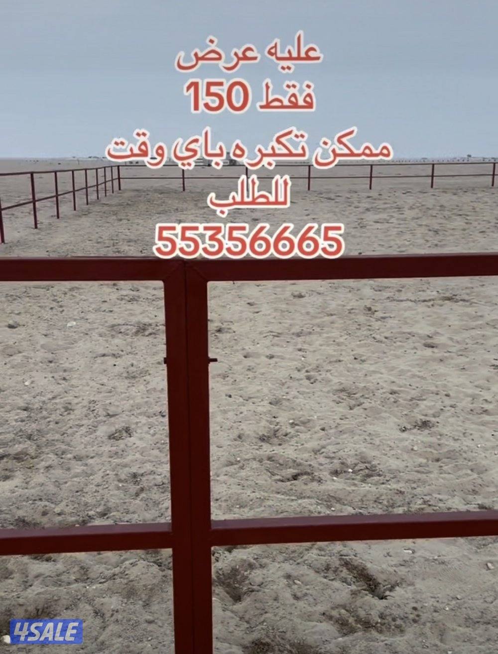 بادوك خيل احترافي مقاس 12/122