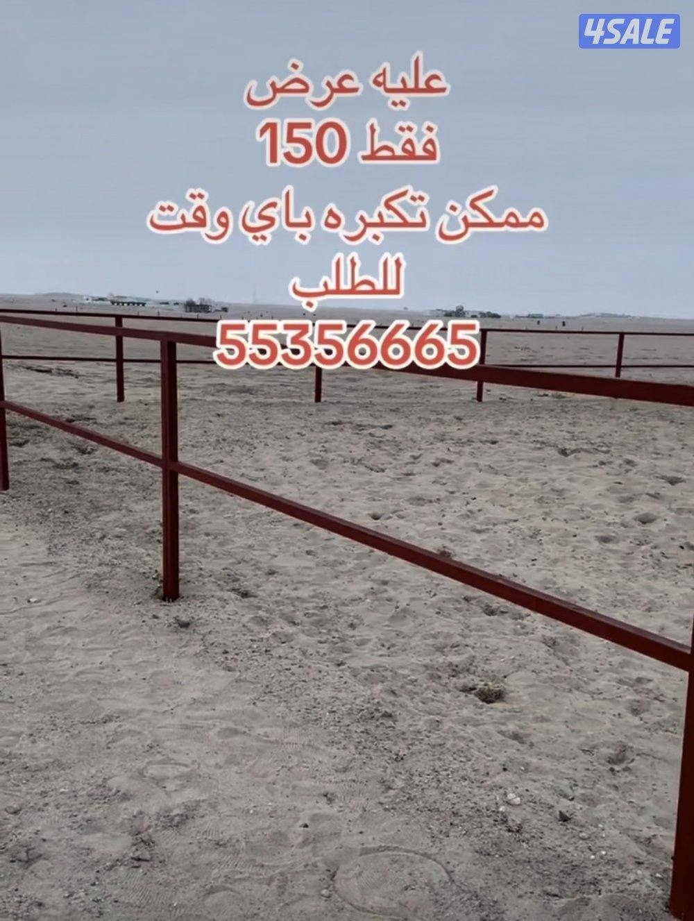 بادوك خيل احترافي مقاس 12/124