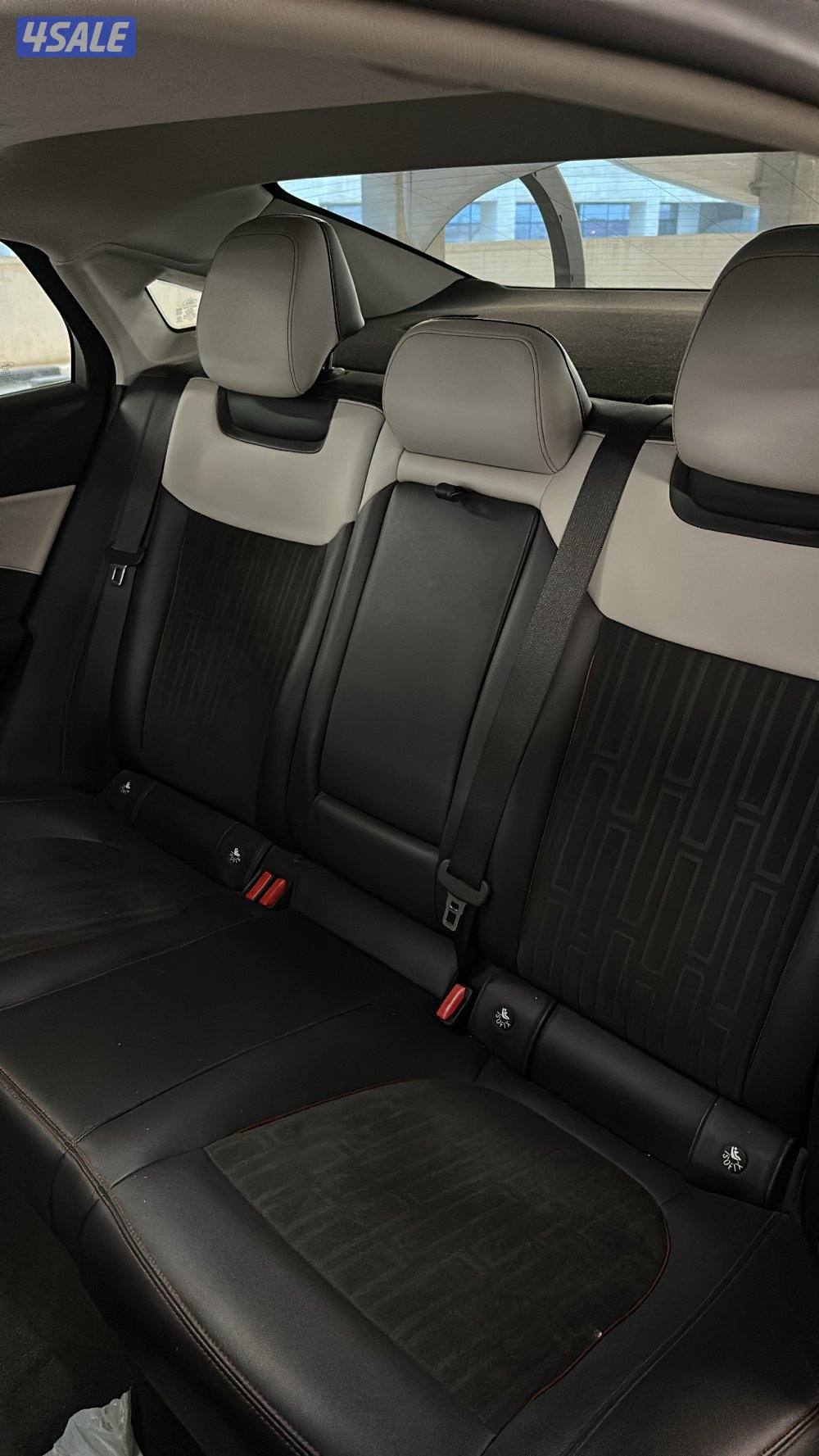 تورس 2023 صبغ الوكالة8