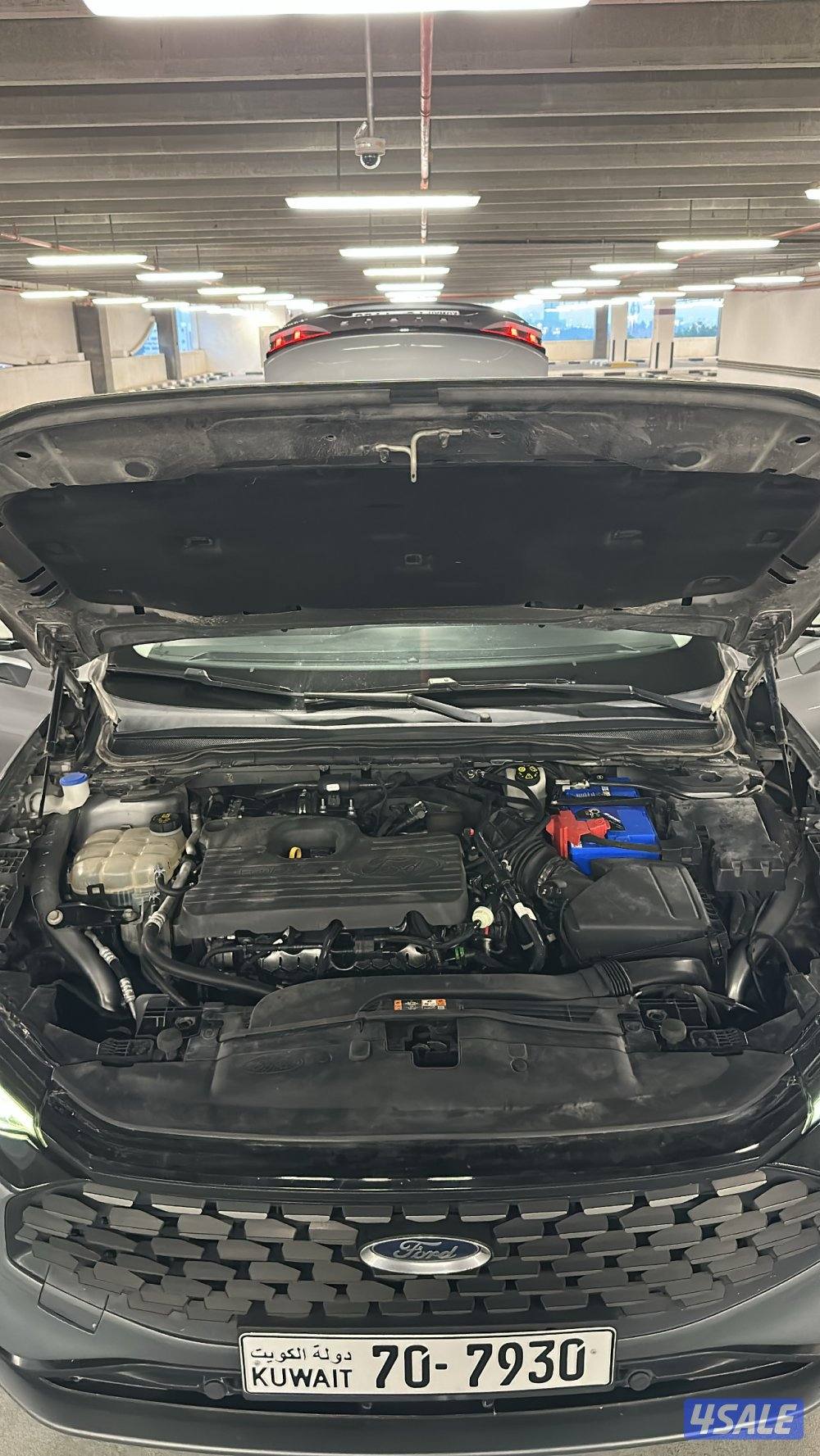 تورس 2023 صبغ الوكالة10