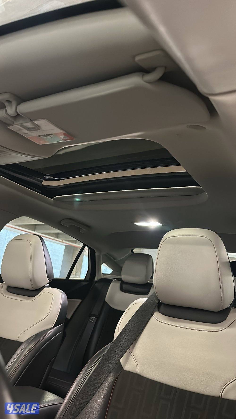 تورس 2023 صبغ الوكالة13