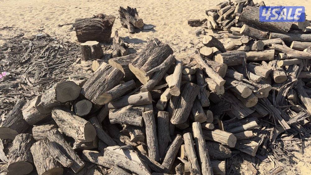 للبيع كين كاربس شرط ناشف وشبوبه طيب0