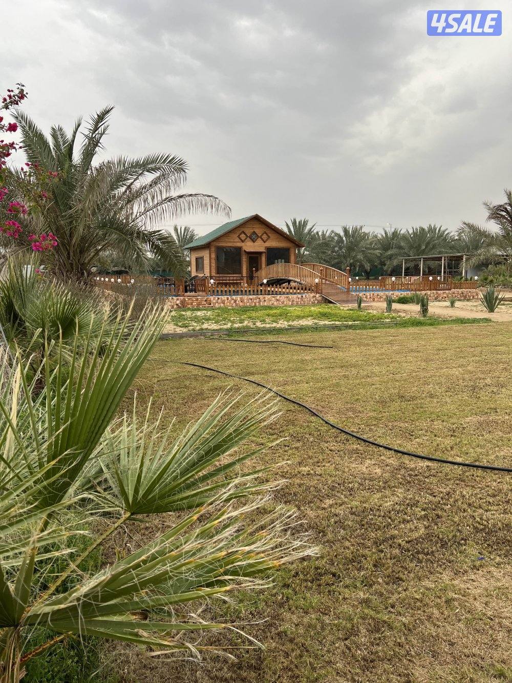 مزرعة الياقوت الوفره0