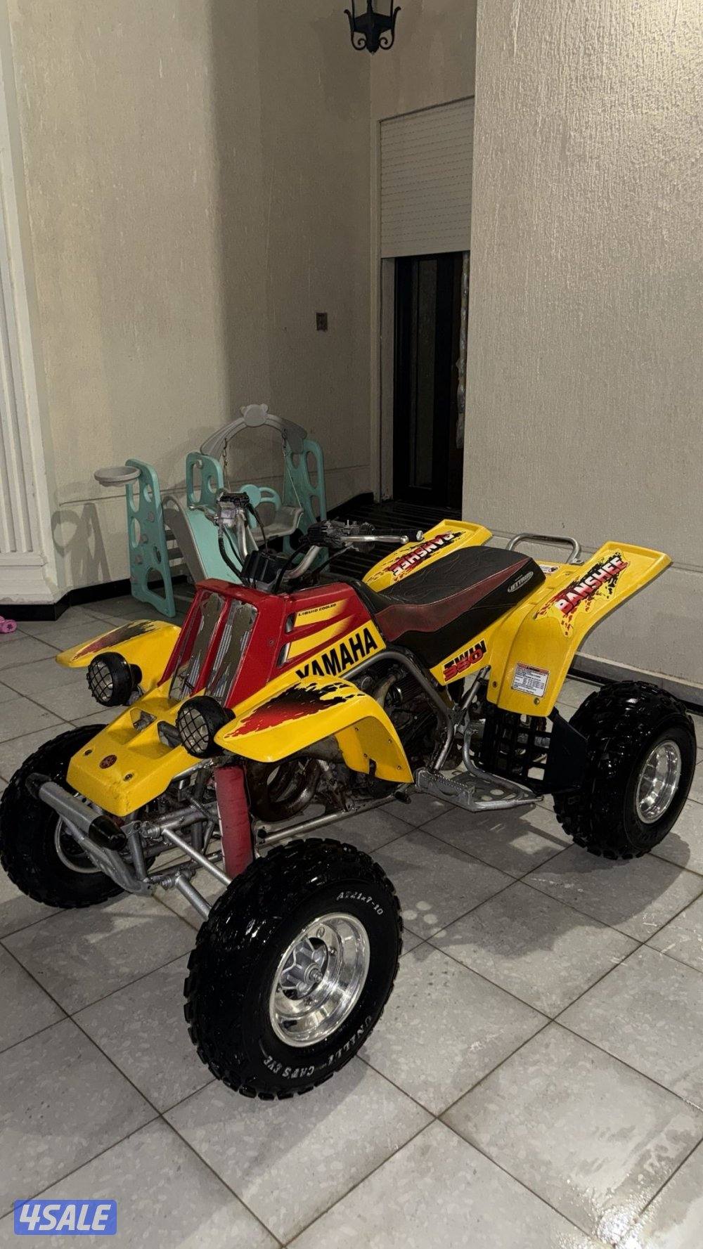 بانشي ٢٠٠٨2