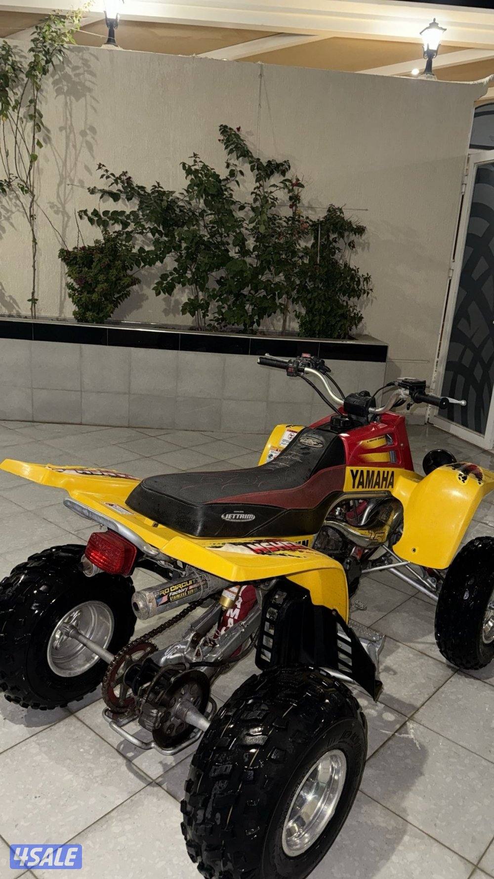 بانشي ٢٠٠٨3