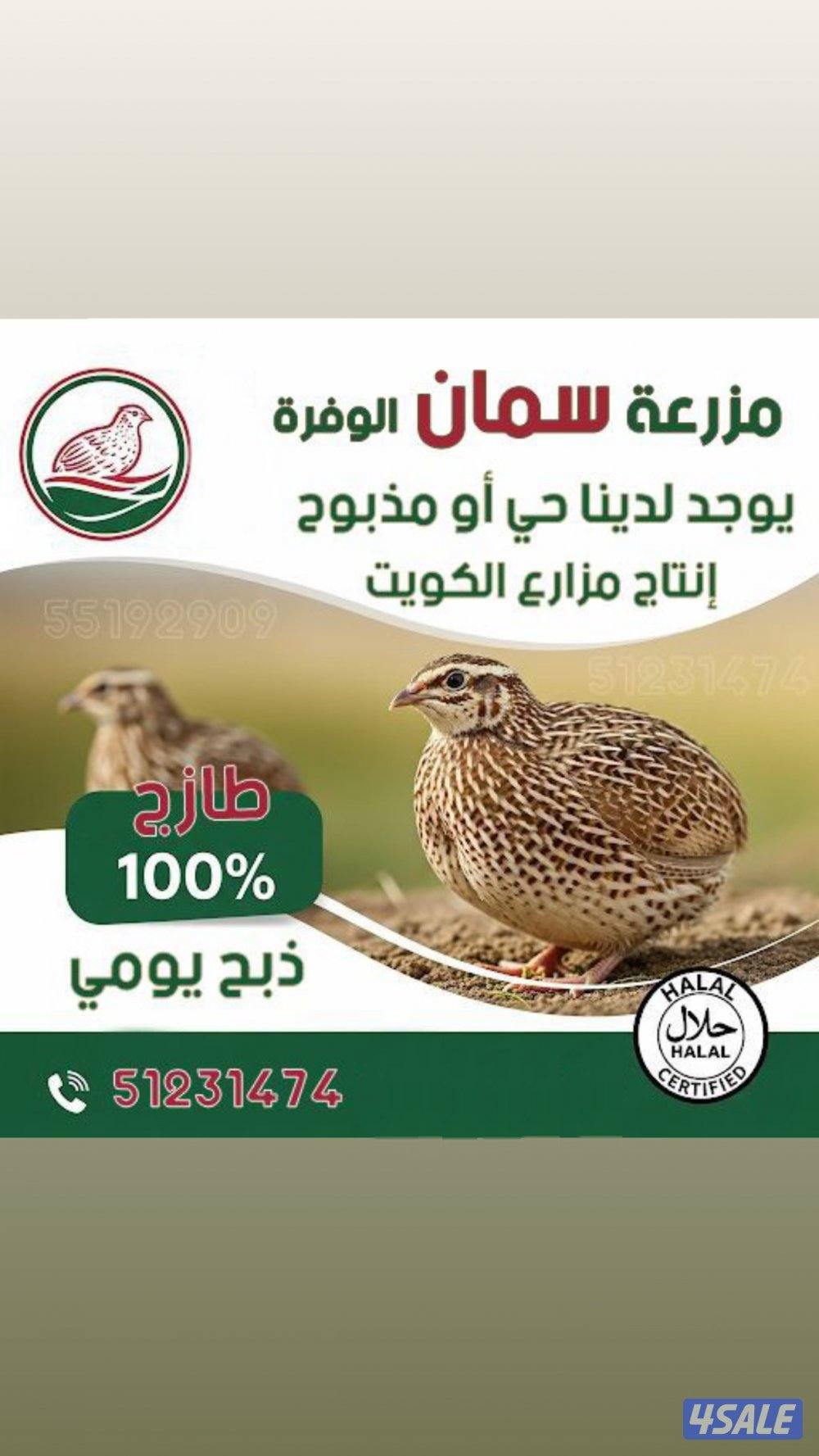 مزرعة السمان1