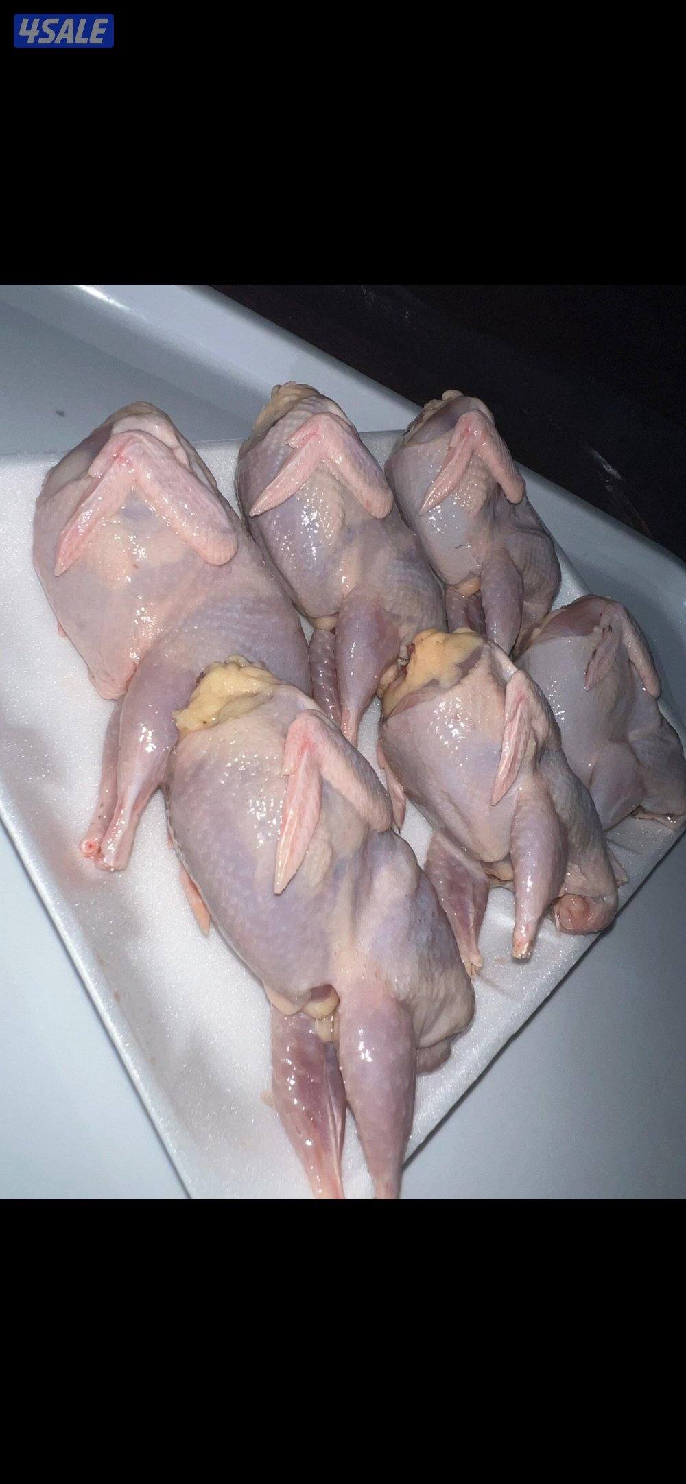 مزرعة السمان0