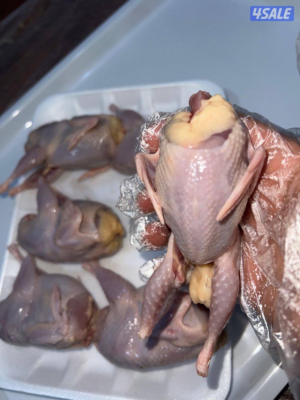 مزرعة السمان3