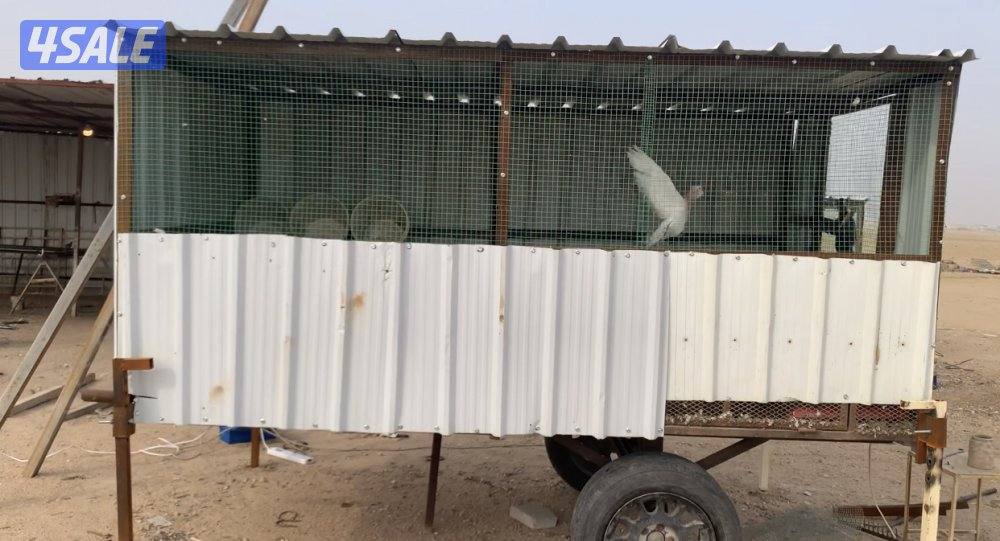 الارتال السالمي3