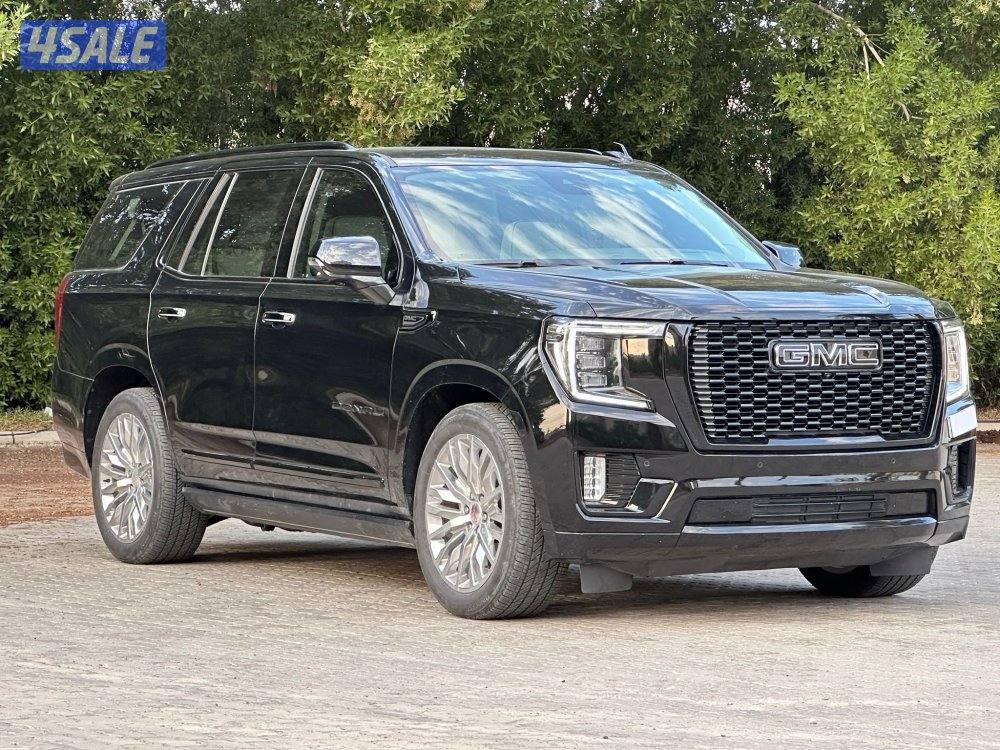 دينالي  موديل 2023 ماشي 42 الف سيرفس وكالة صبغ الوكالة2