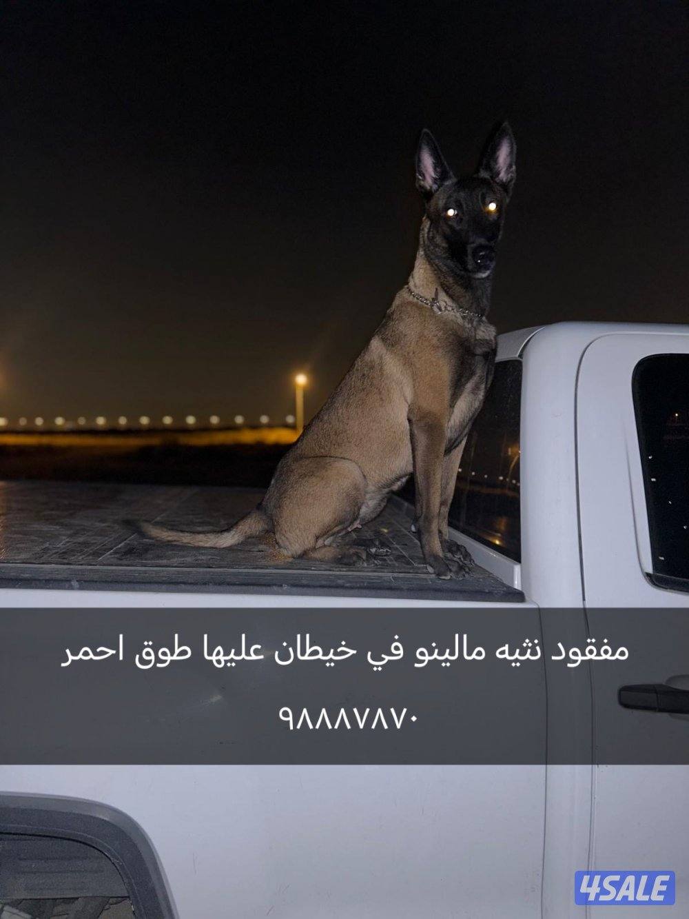 مفقووووووود0