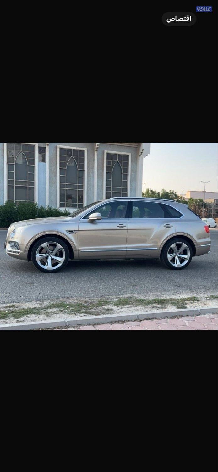 للبيع ببنتلي1