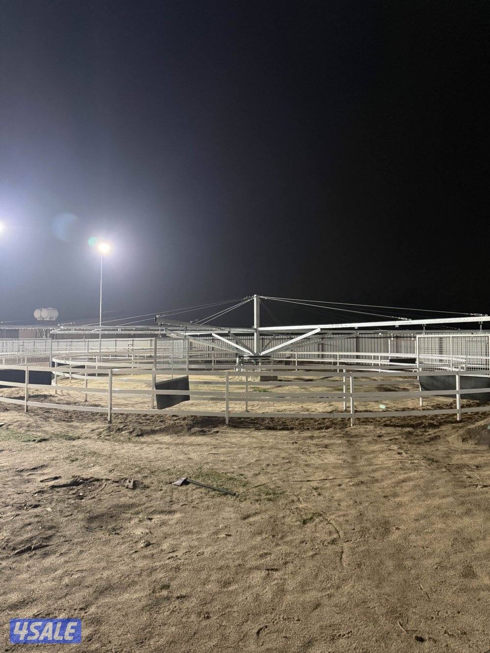 أكاديمية مربط الشامري للفروسية1