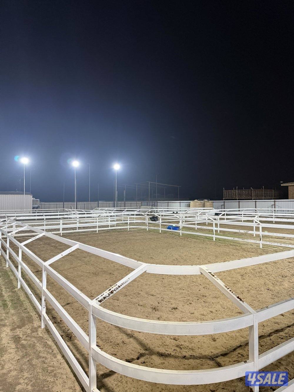 أكاديمية مربط الشامري للفروسية3