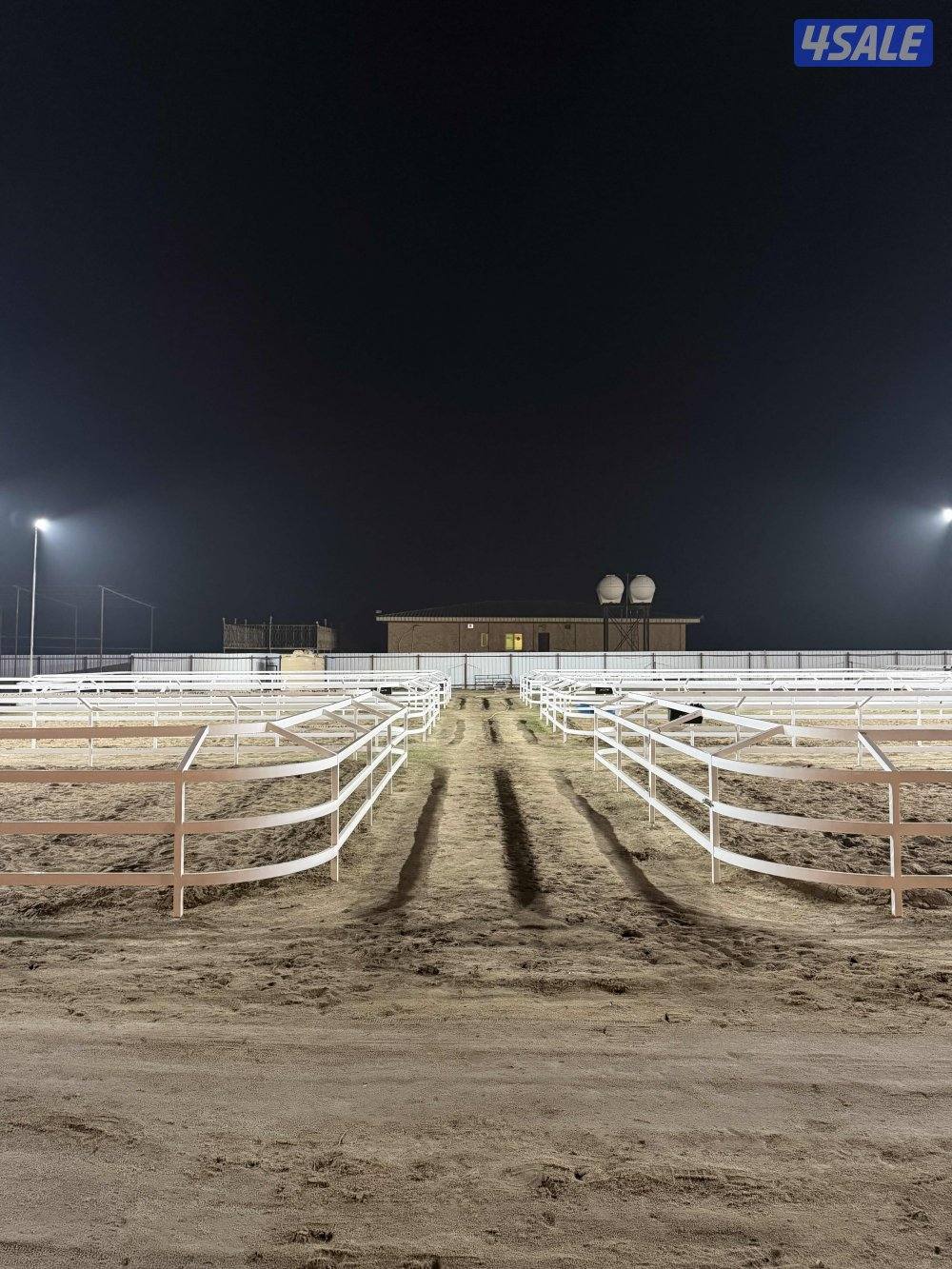 أكاديمية مربط الشامري للفروسية4