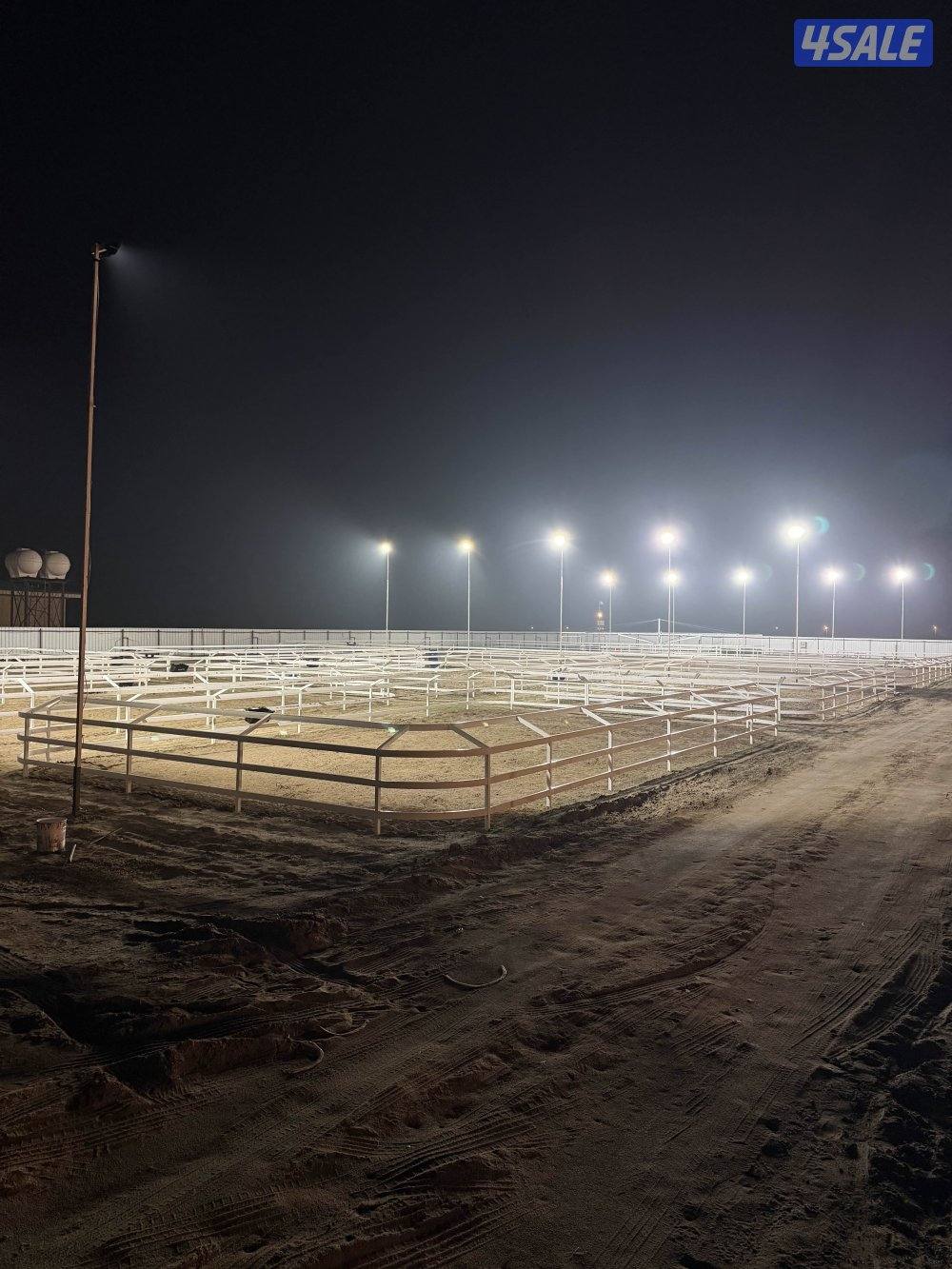 أكاديمية مربط الشامري للفروسية5