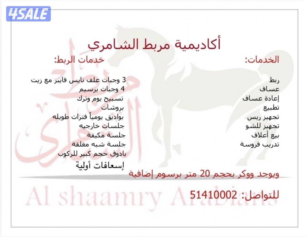 أكاديمية مربط الشامري للفروسية0