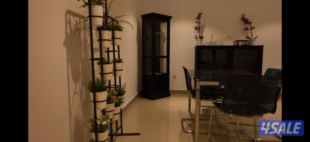 الاجار شالي راس السنه2