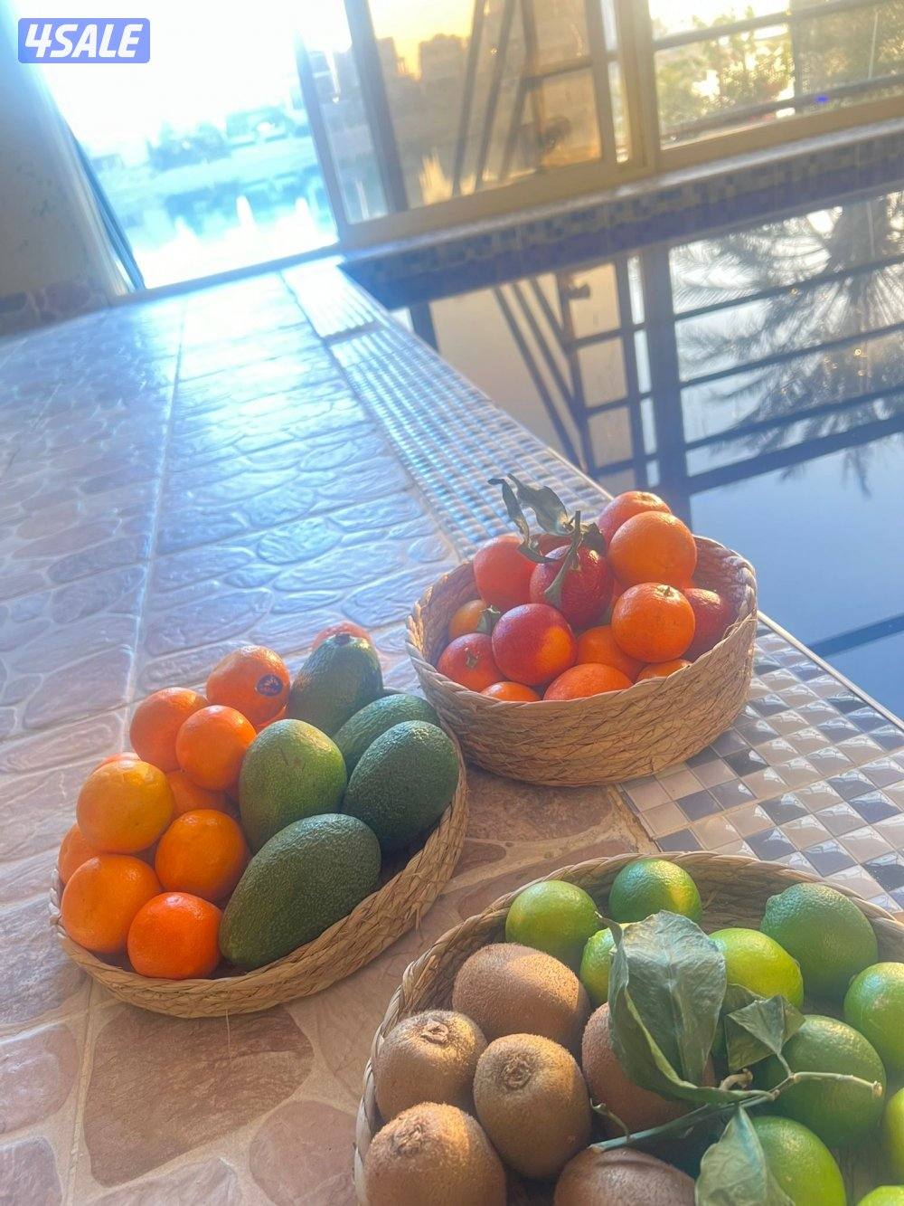 الاجار شالي راس السنه7