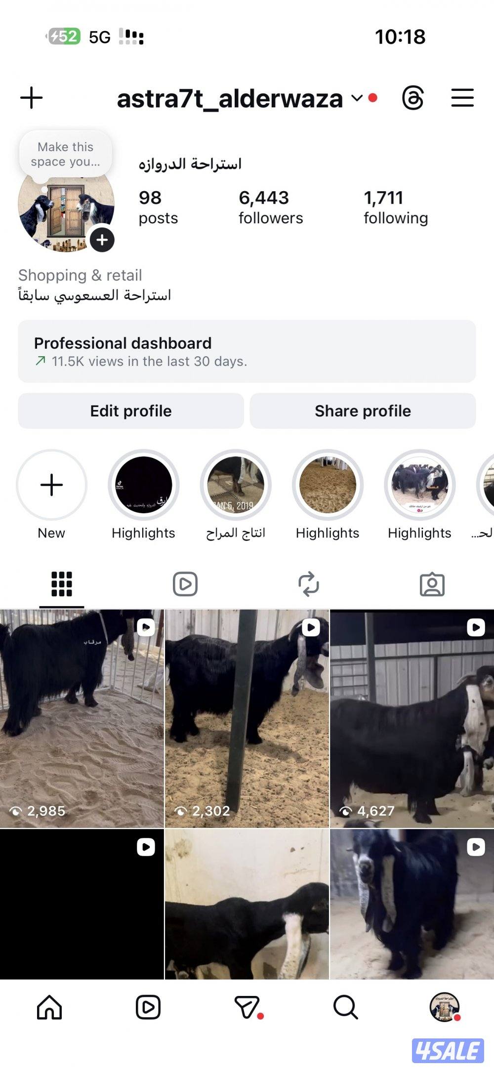 للبيع جذعان كفو شكل ومعامق2