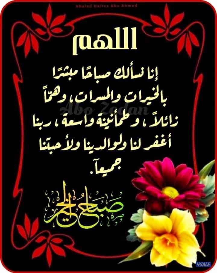 مدرس لغة عربية للصف الثاني عشر والمعهد الديني مراجعة ليلة الاختبار2