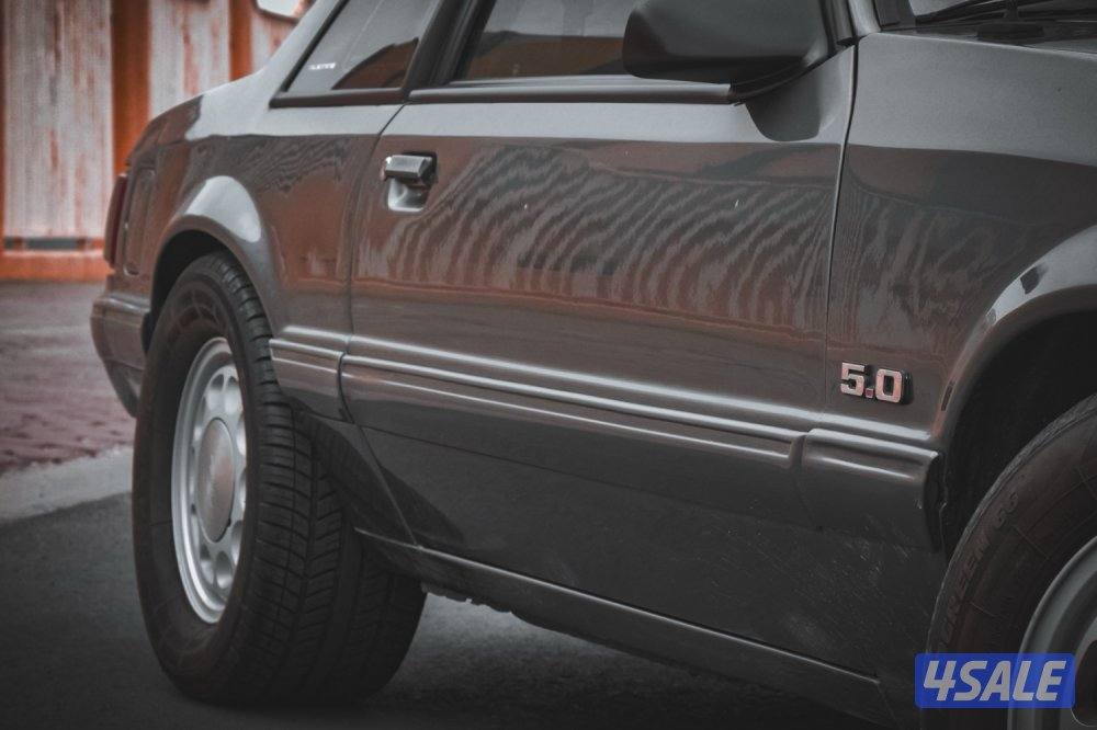 للبيع موستنق بودبه 19939