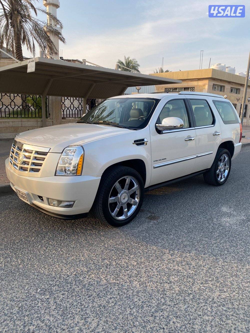 عداد 100 الف صبغ الوكاله1