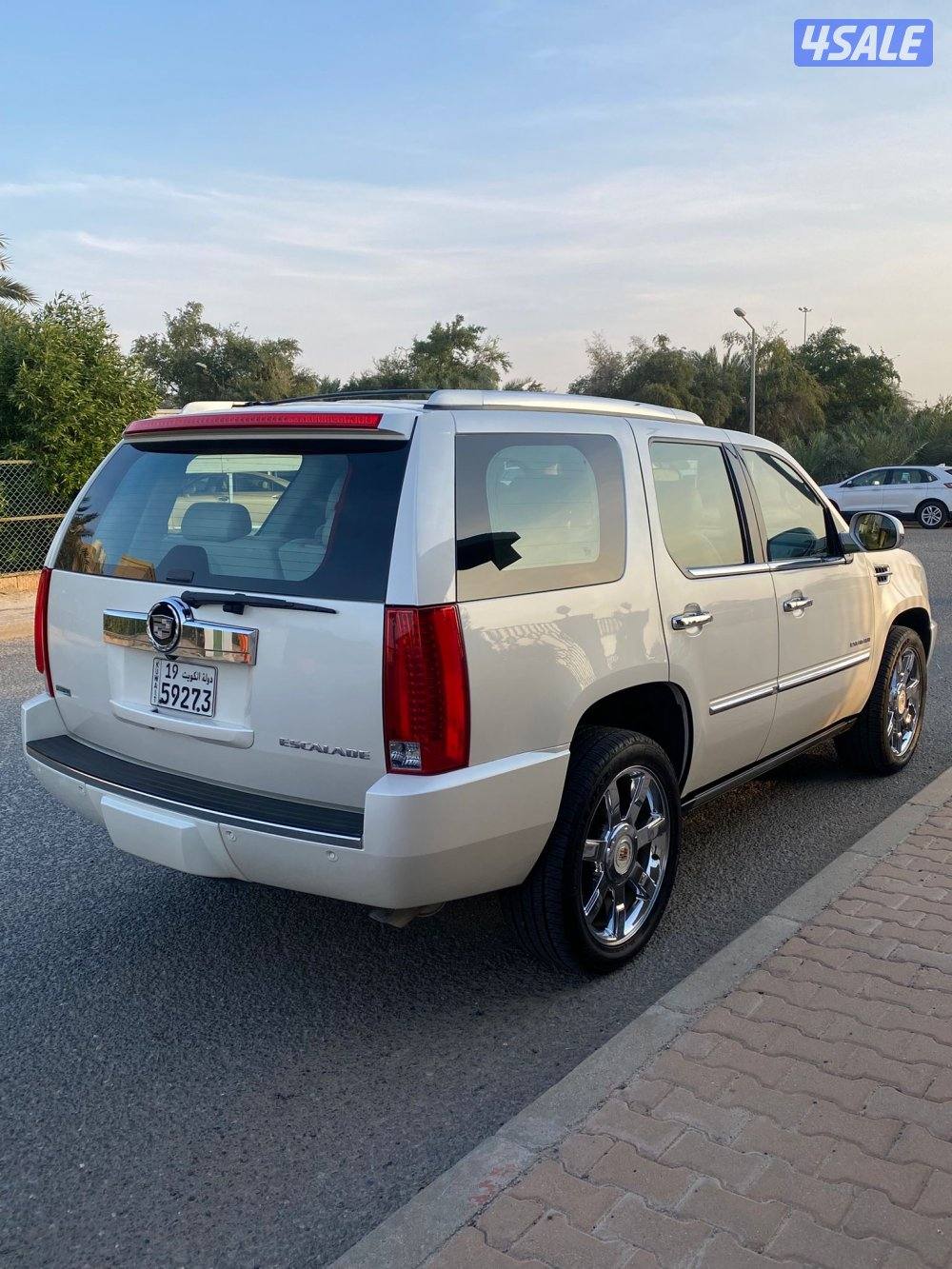 عداد 100 الف صبغ الوكاله2