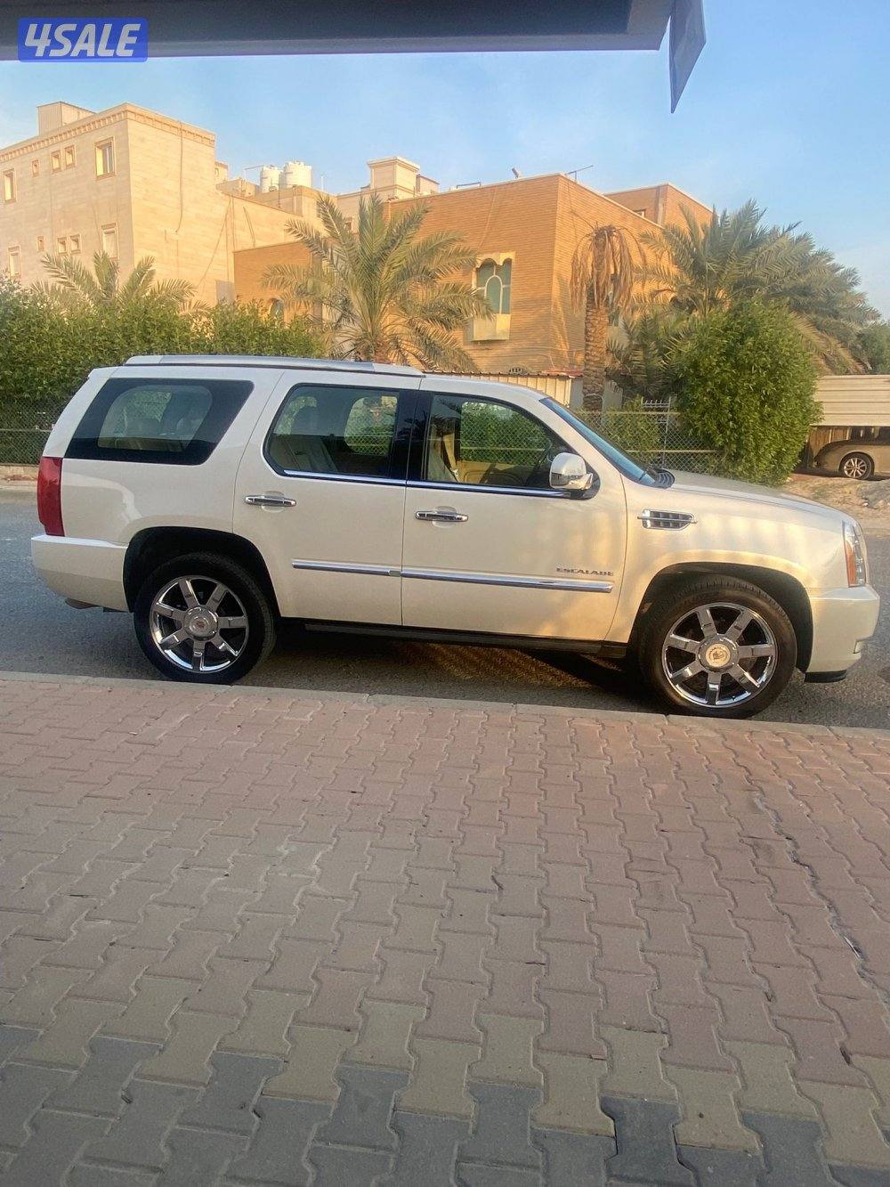 عداد 100 الف صبغ الوكاله3