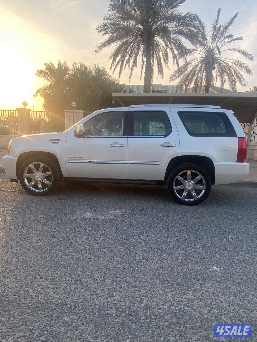 عداد 100 الف صبغ الوكاله4