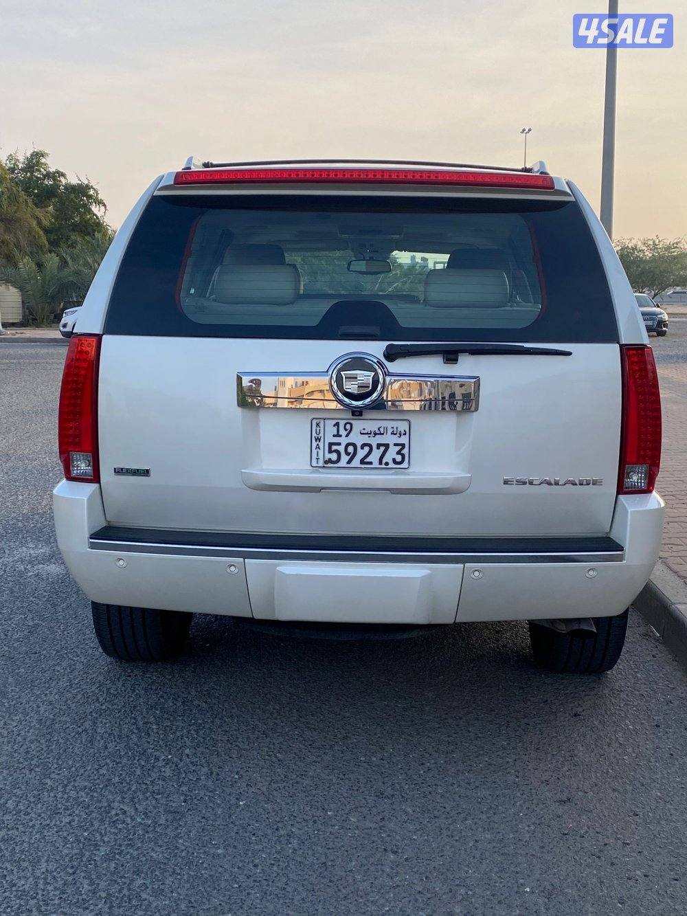 عداد 100 الف صبغ الوكاله5