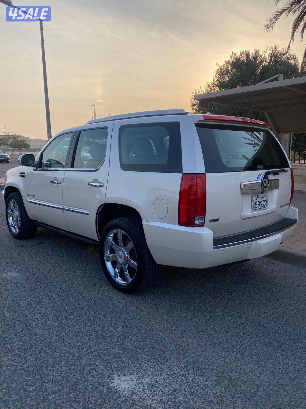 عداد 100 الف صبغ الوكاله6