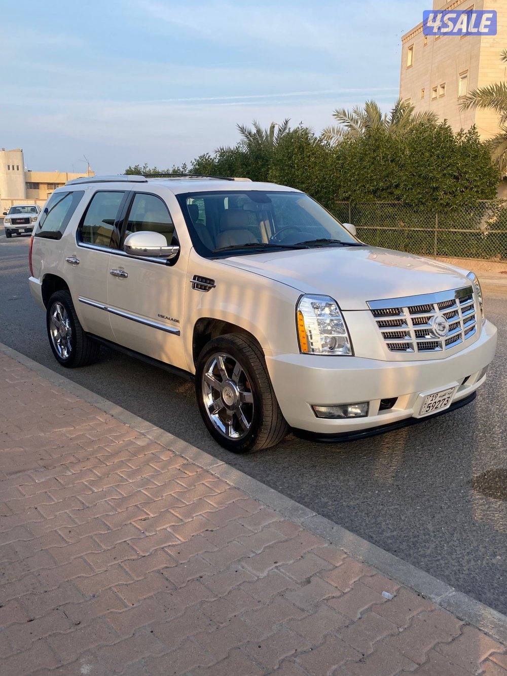 عداد 100 الف صبغ الوكاله12