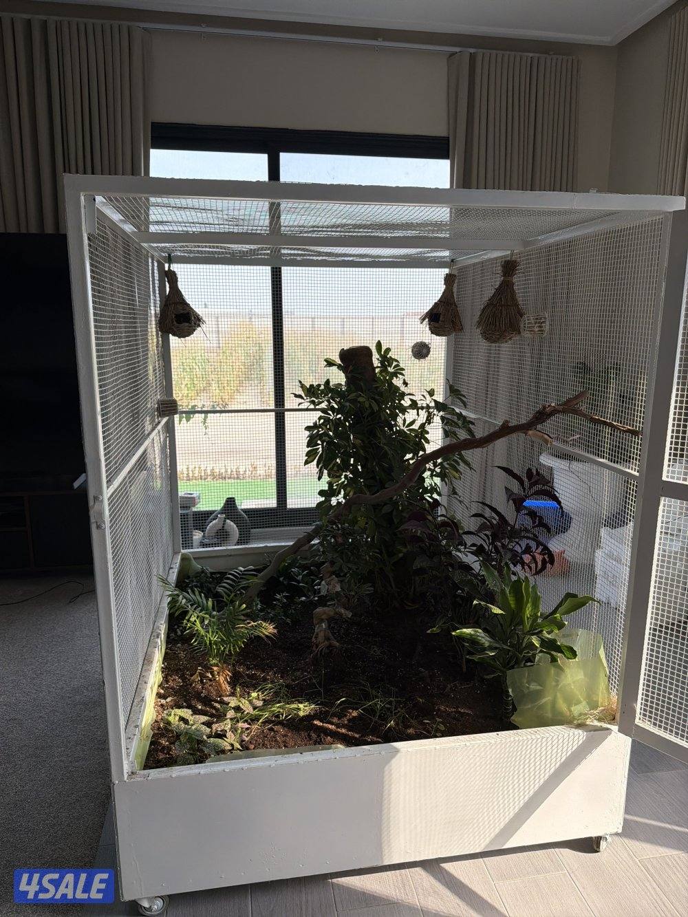 قفص للبيع1