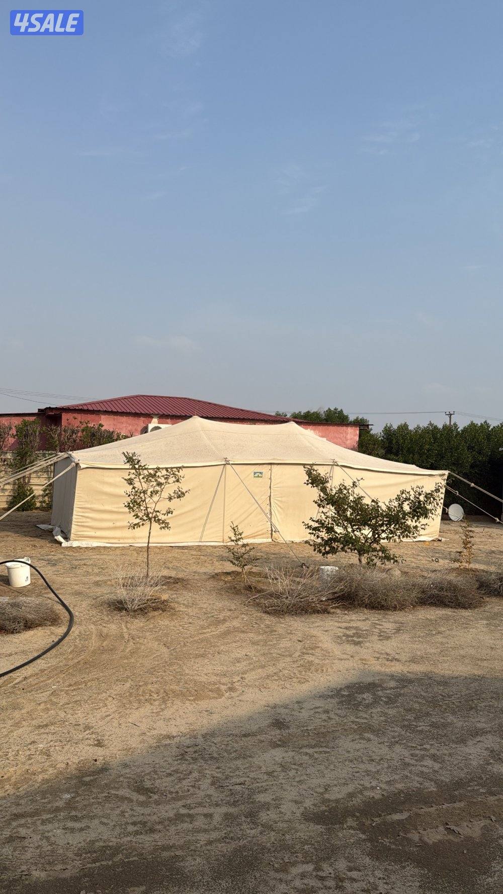 للبيع خيمة الصباح شراع ٩ ب ٥0