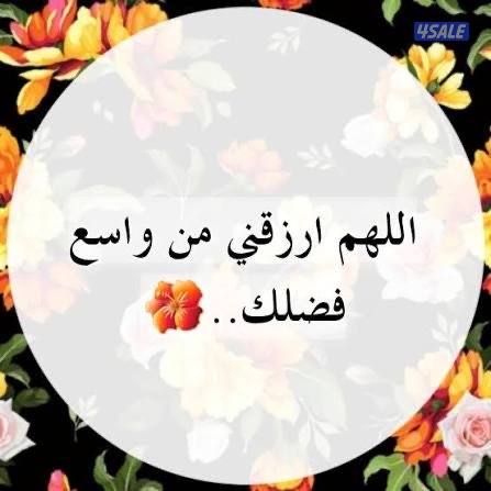 ارغب  بتحويل سريع المهنه سواق ماده 20 وممكن اعمل ف تربيه دواجن البلدي0