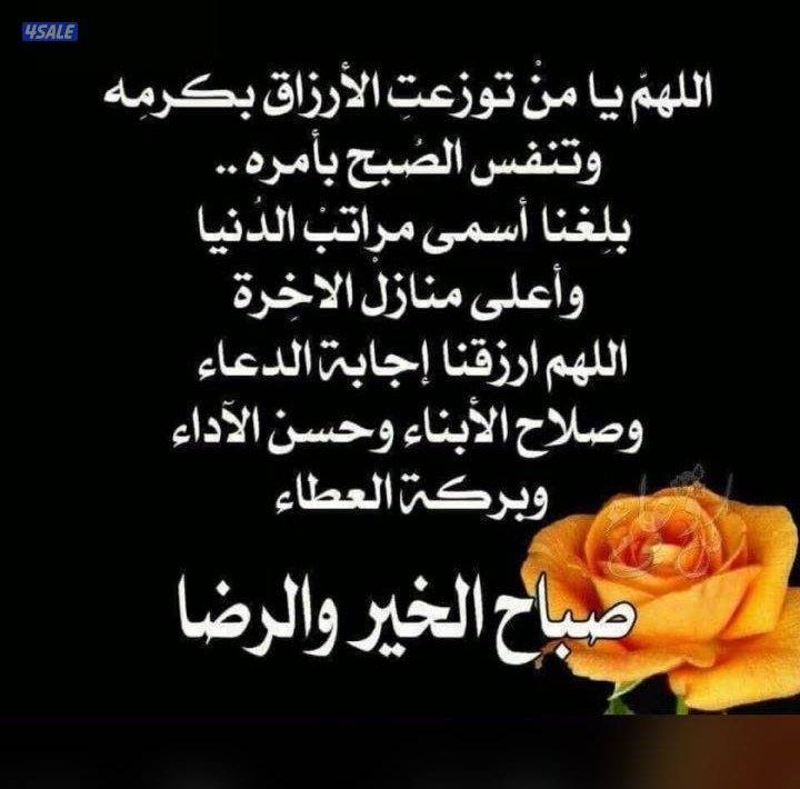 ارغب  بتحويل سريع المهنه سواق ماده 20 وممكن اعمل ف تربيه دواجن البلدي1