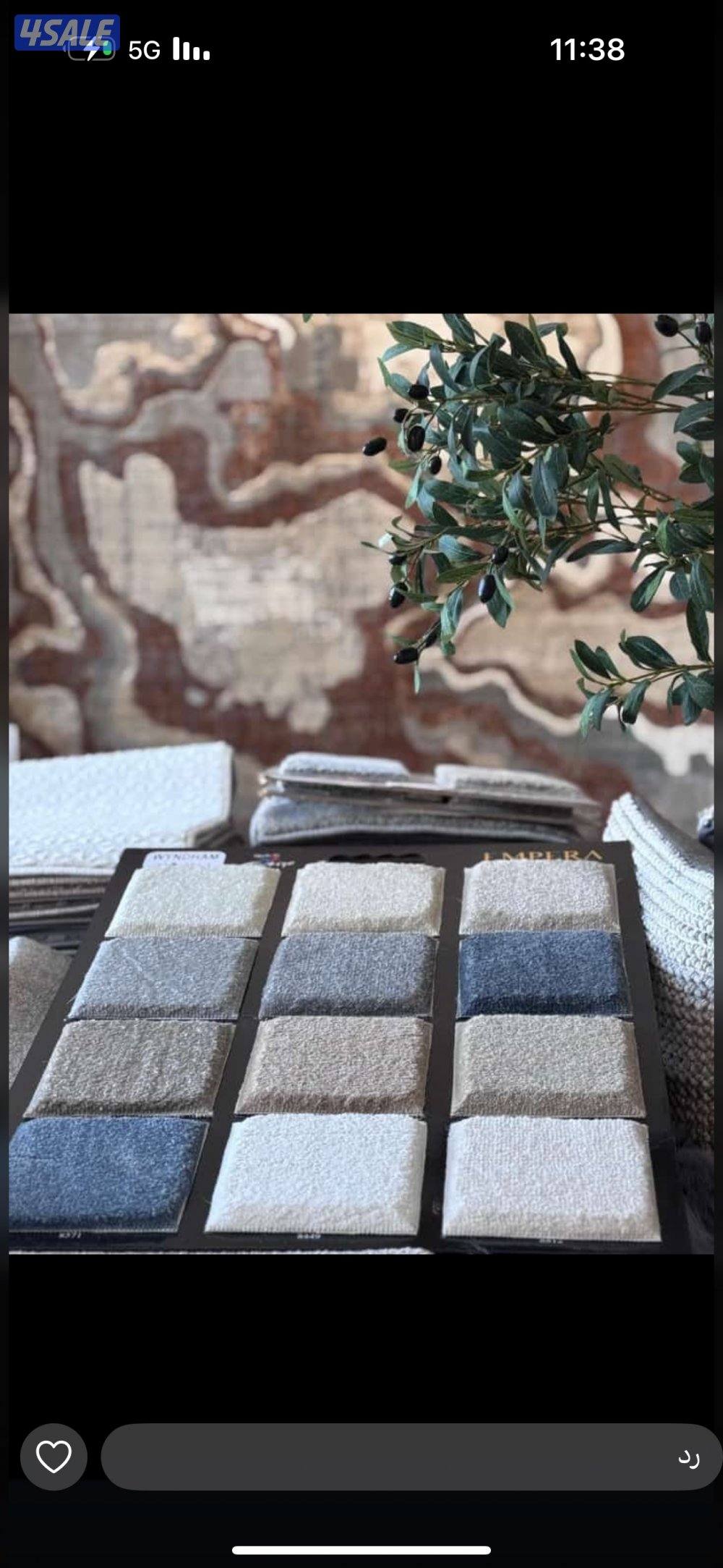 الفرونيه الظجيج7