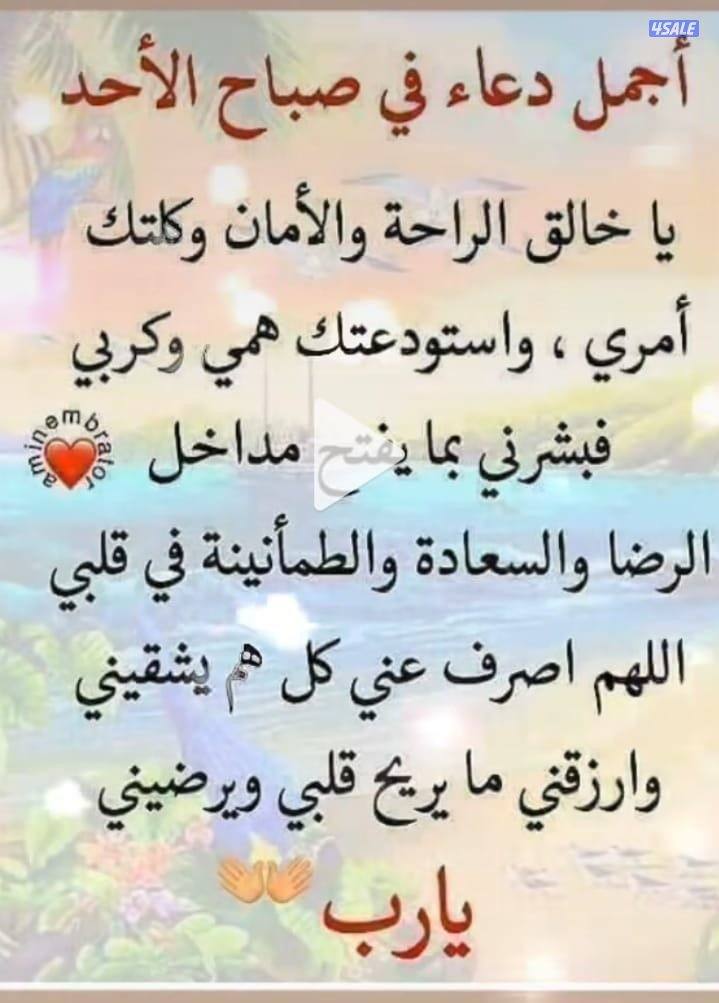 للايجار شقه بابوفطيره قطعه ٢0