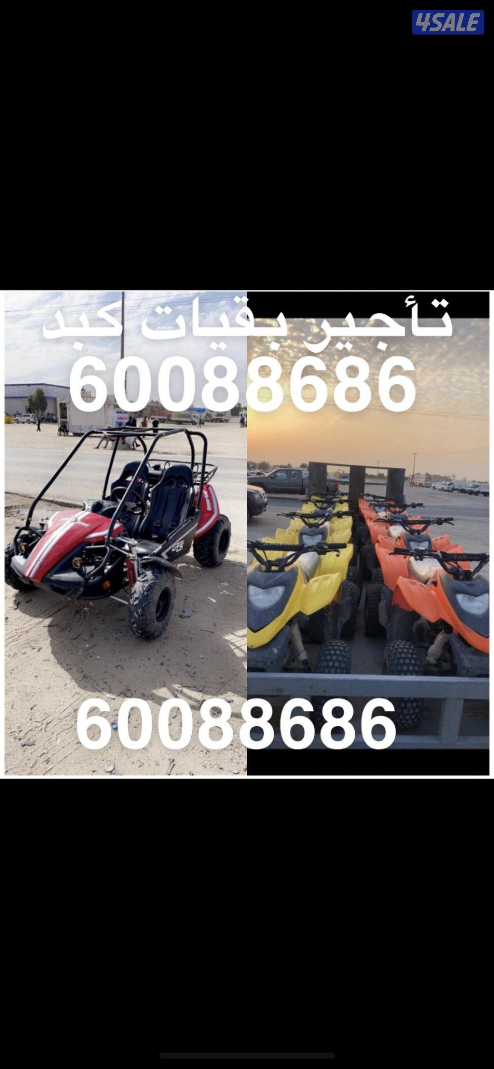 تاجير بقيات كبد0