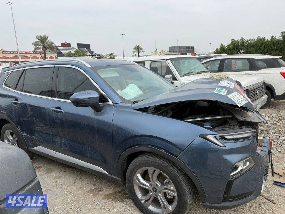 فورد تيرتتوري / 20253