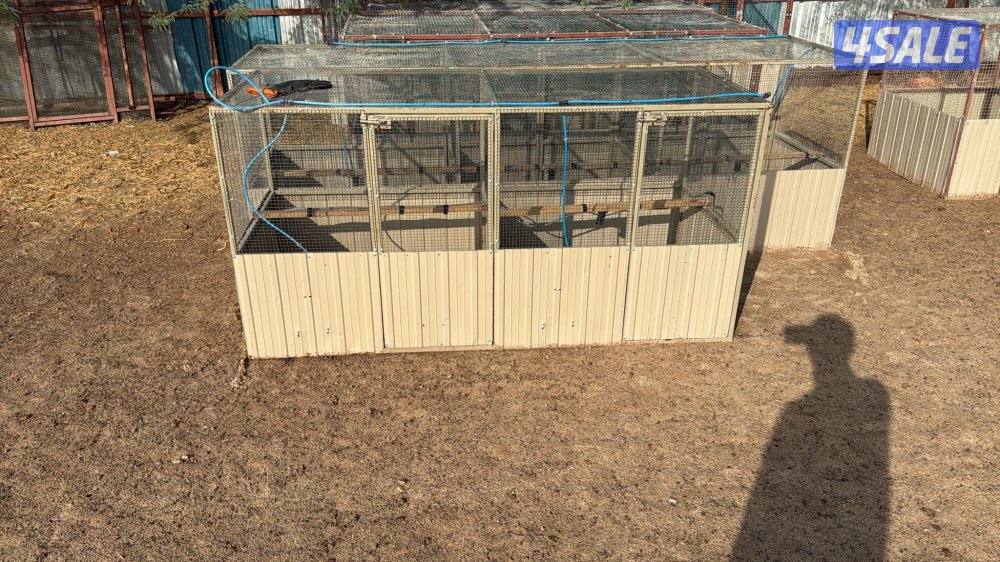 محاصير دجاج0