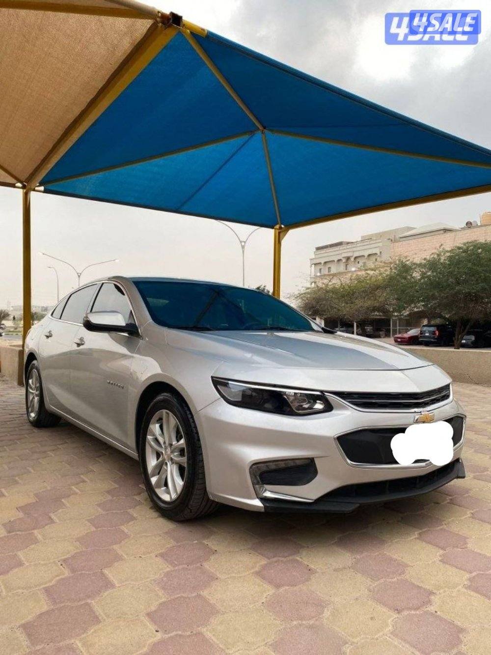 ماليبو صبغ الوكالة سيرفس منتظم0