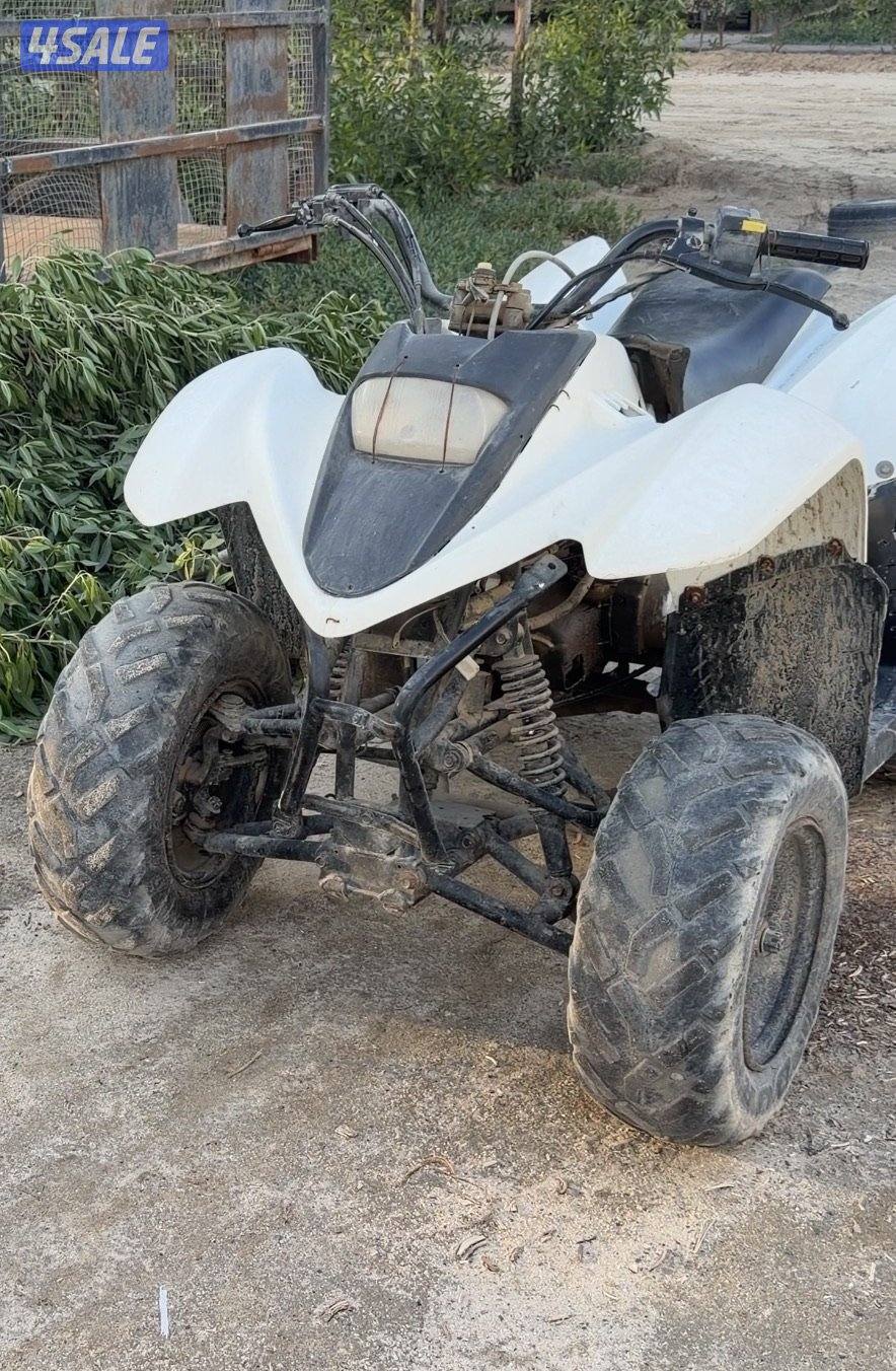 بقي حجم 100 مع عربانه2