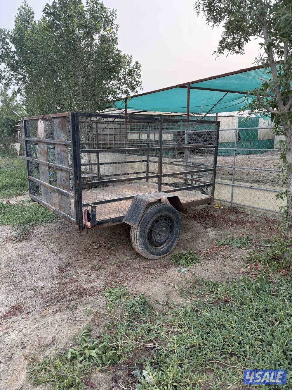 بقي حجم 100 مع عربانه4