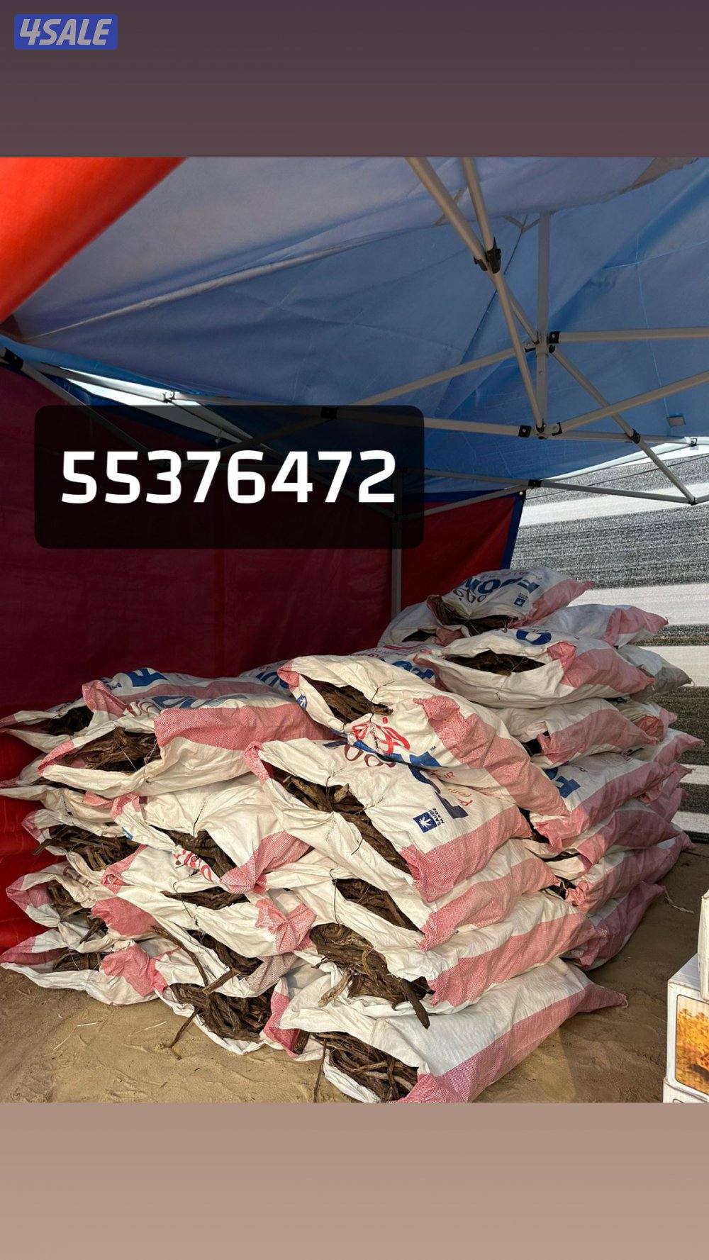 غضا ورمث سعودي0